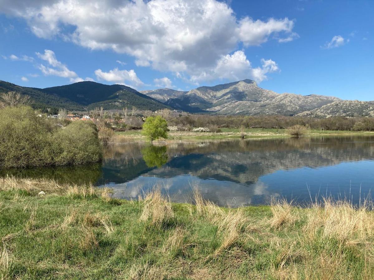 Los Cedros, Gran Chalet Con Piscina Y Apartamento En Navacerrada Villa Dış mekan fotoğraf