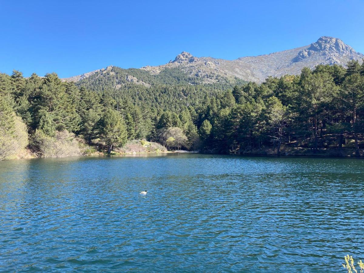 Los Cedros, Gran Chalet Con Piscina Y Apartamento En Navacerrada Villa Dış mekan fotoğraf